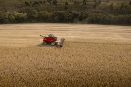 FieldXplorer – Monitoramento Agronômico